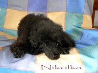 /album/fotogaleria-nikolka/a0127-jpg/