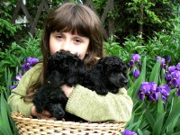 /album/fotogaleria-odchovov-od-nikolky/a0178-jpg/