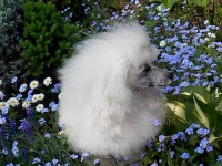 /album/fotogaleria-nina/a0077-jpg/