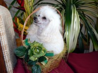 /album/fotogaleria-nina/a0286-jpg/