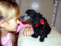 /album/fotogaleria-odchovov-od-butterfly/a67-jpg/