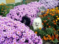 /album/fotogaleria-fotoalbum1/a0125-jpg/